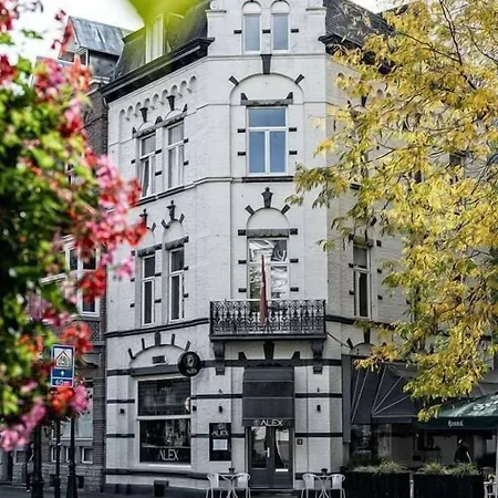 Alex Маастрихт