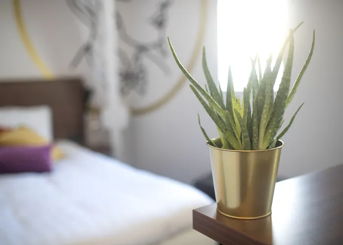 Alex מאסטריכט