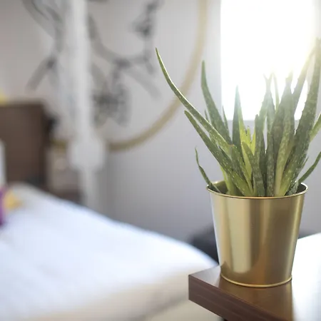 Alex Μάαστριχτ